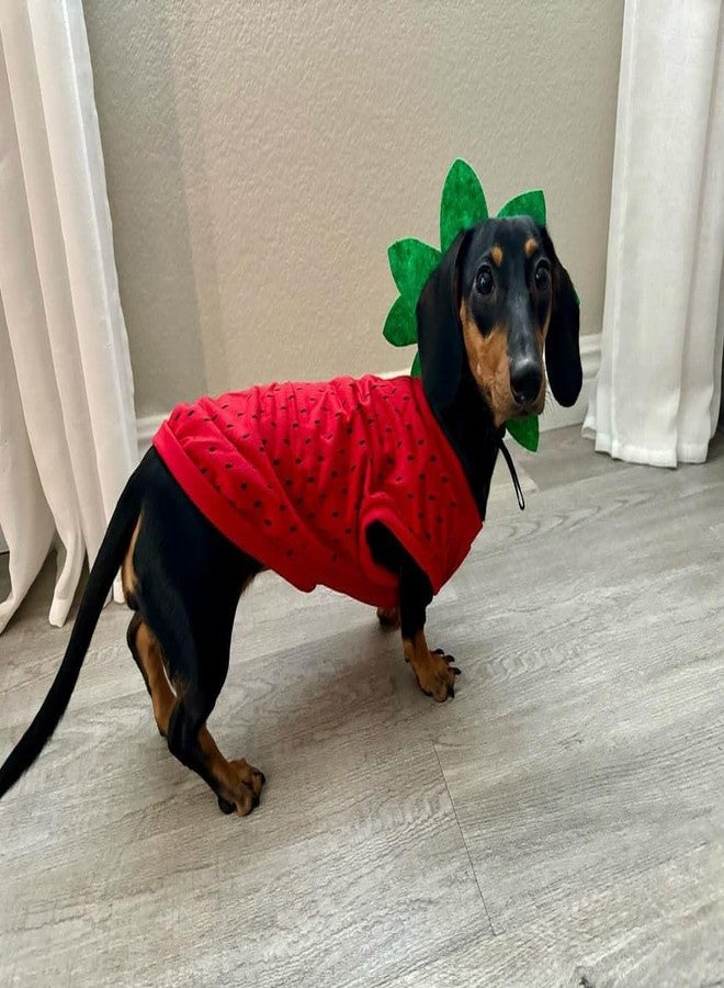 Midlee Strawberry Halloween Dog Costume (X-Large) - Image 4